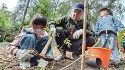 七星潭啟動臨海植群「宮脇法」復育，　營造親人的森林生態。